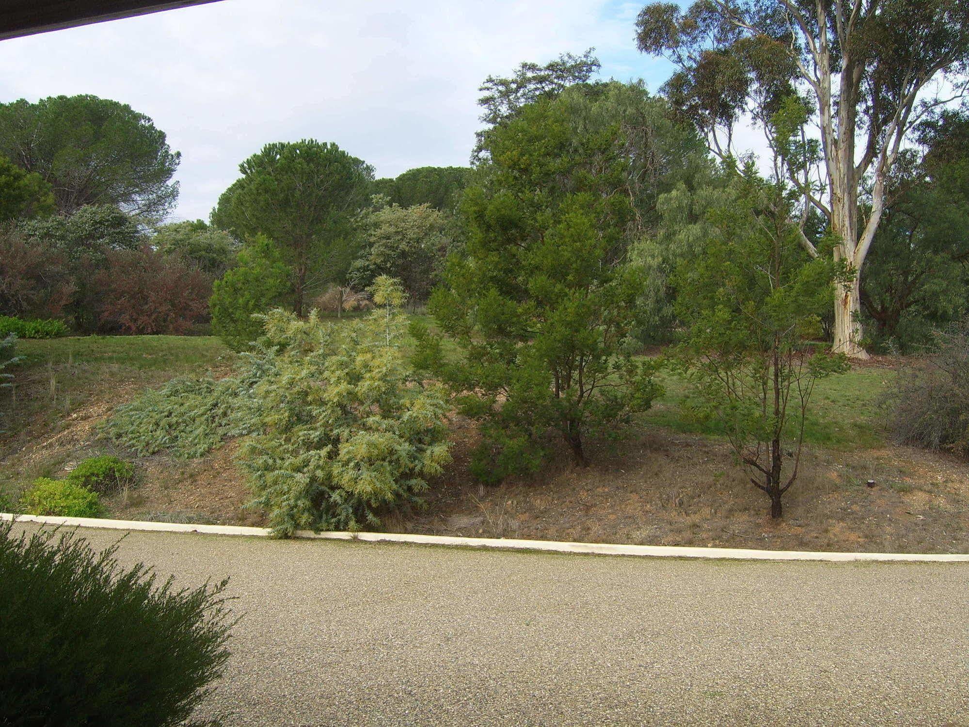 Garden Motor Inn Gundagai Dış mekan fotoğraf
