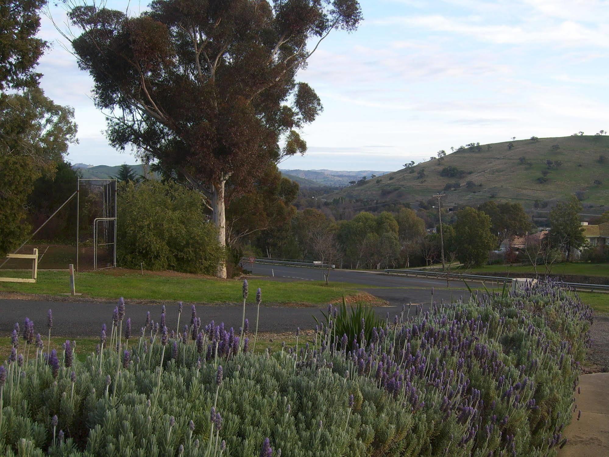 Garden Motor Inn Gundagai Dış mekan fotoğraf