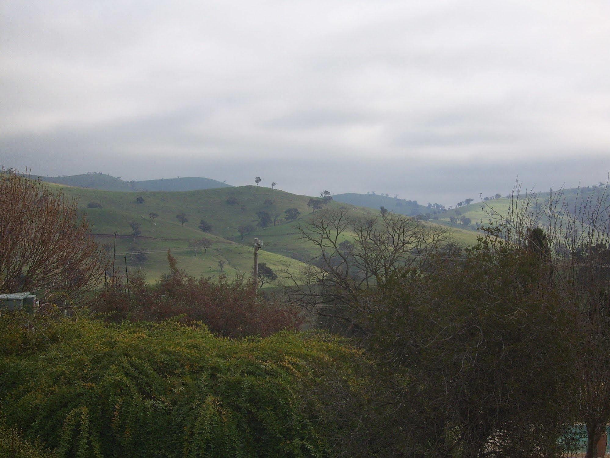 Garden Motor Inn Gundagai Dış mekan fotoğraf