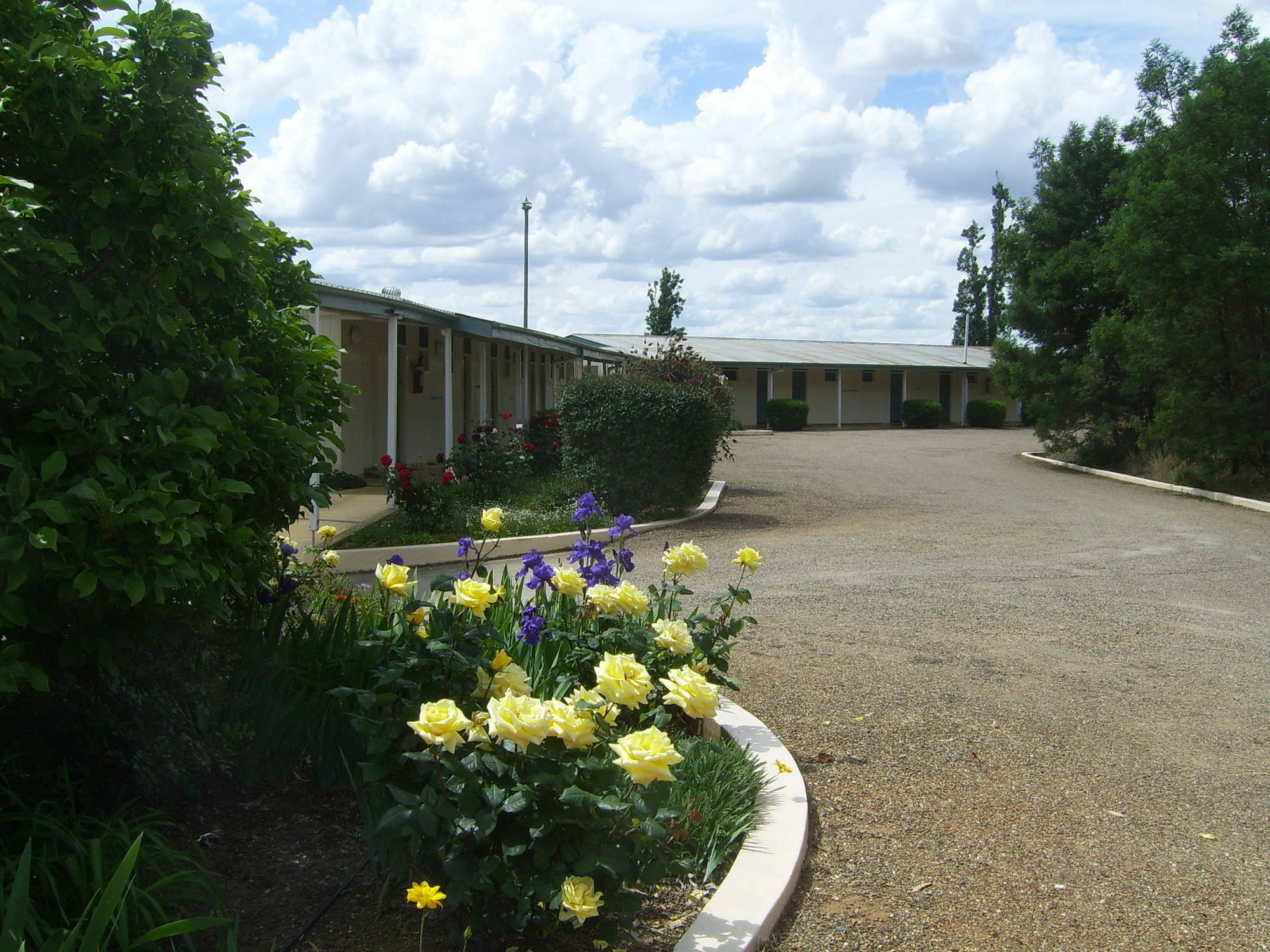 Garden Motor Inn Gundagai Dış mekan fotoğraf